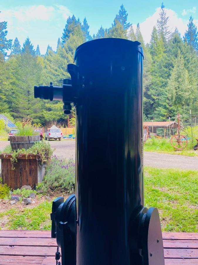 Отель Glamping In The Redwoods With A Hot Tub! Гарбервилл Экстерьер фото